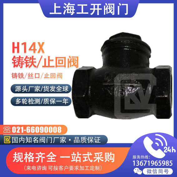 止回阀  铸铁丝口卧式止回阀