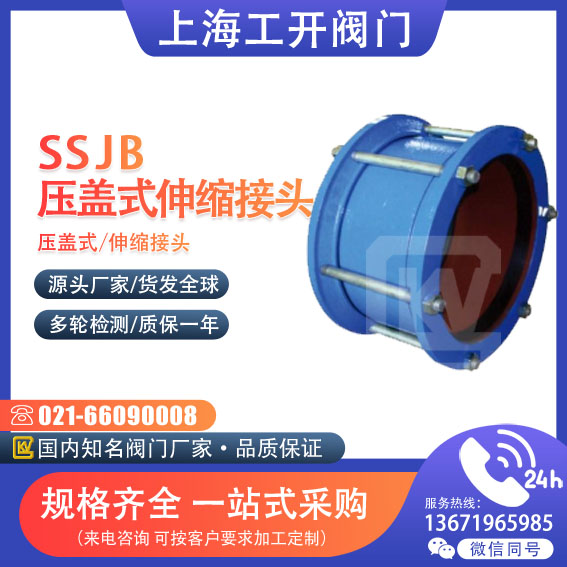 压盖式伸缩接头