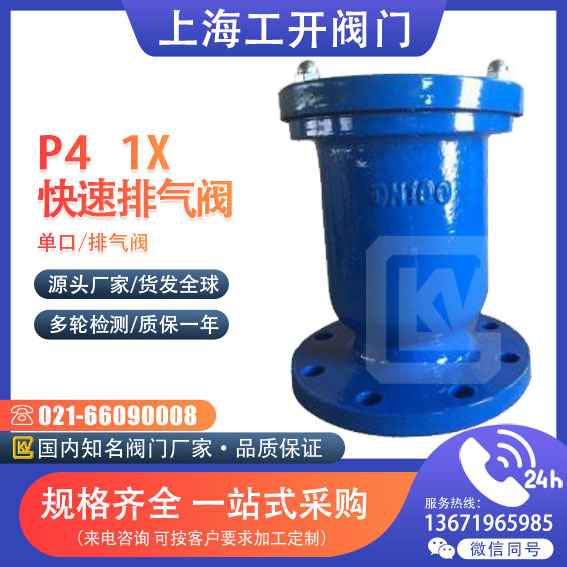 单口快速排气阀