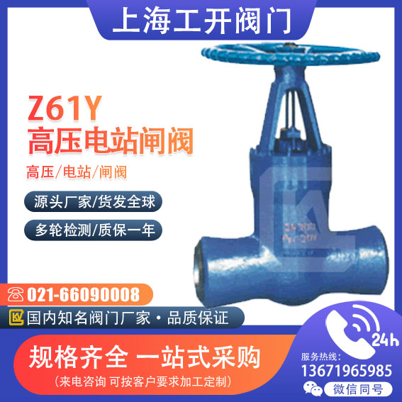 闸阀  高压电站闸阀