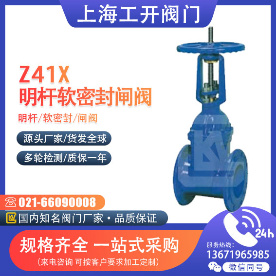 闸阀  明杆软密封闸阀