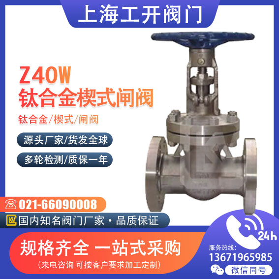 闸阀  钛合金楔式闸阀