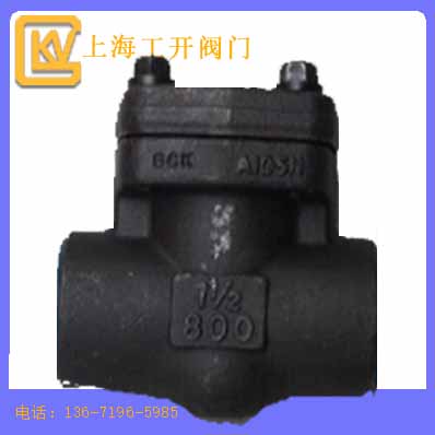 止回阀  锻钢止回阀