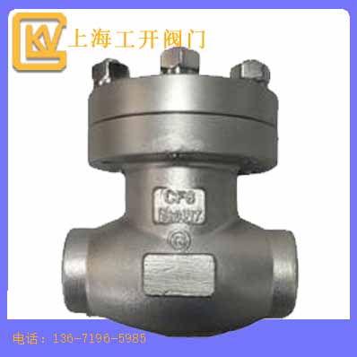 止回阀  低温止回阀