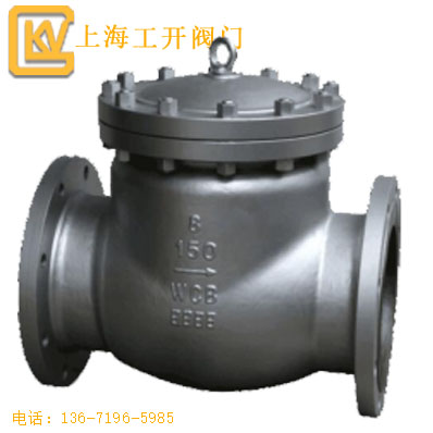 止回阀  低温止回阀
